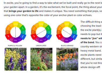 closeup of color resource document